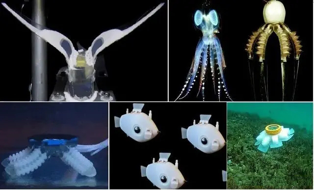 Aigtek安泰電子：Swimming Leaf水下軟體機(jī)器人的研究成果分享