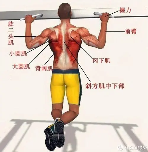 PP電子網(wǎng)站入口，家庭物聯(lián)網(wǎng)都是什么組成